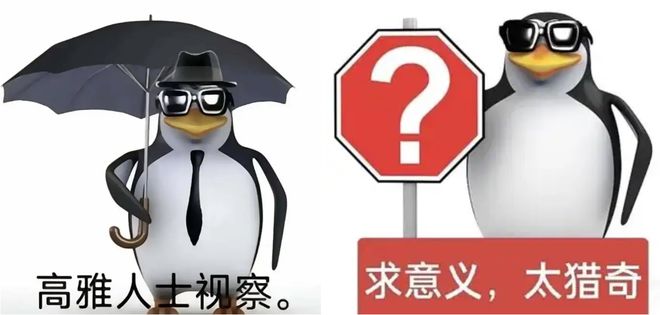 ？ 2025流行文化盘点瓦利棋牌我爱我但我是谁(图3)