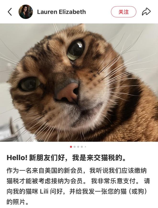 ？ 2025流行文化盘点瓦利棋牌我爱我但我是谁(图7)