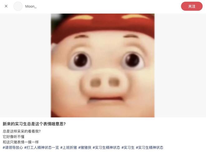 ？ 2025流行文化盘点瓦利棋牌我爱我但我是谁(图15)