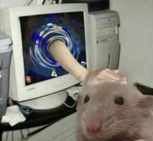 ？ 2025流行文化盘点瓦利棋牌我爱我但我是谁(图20)